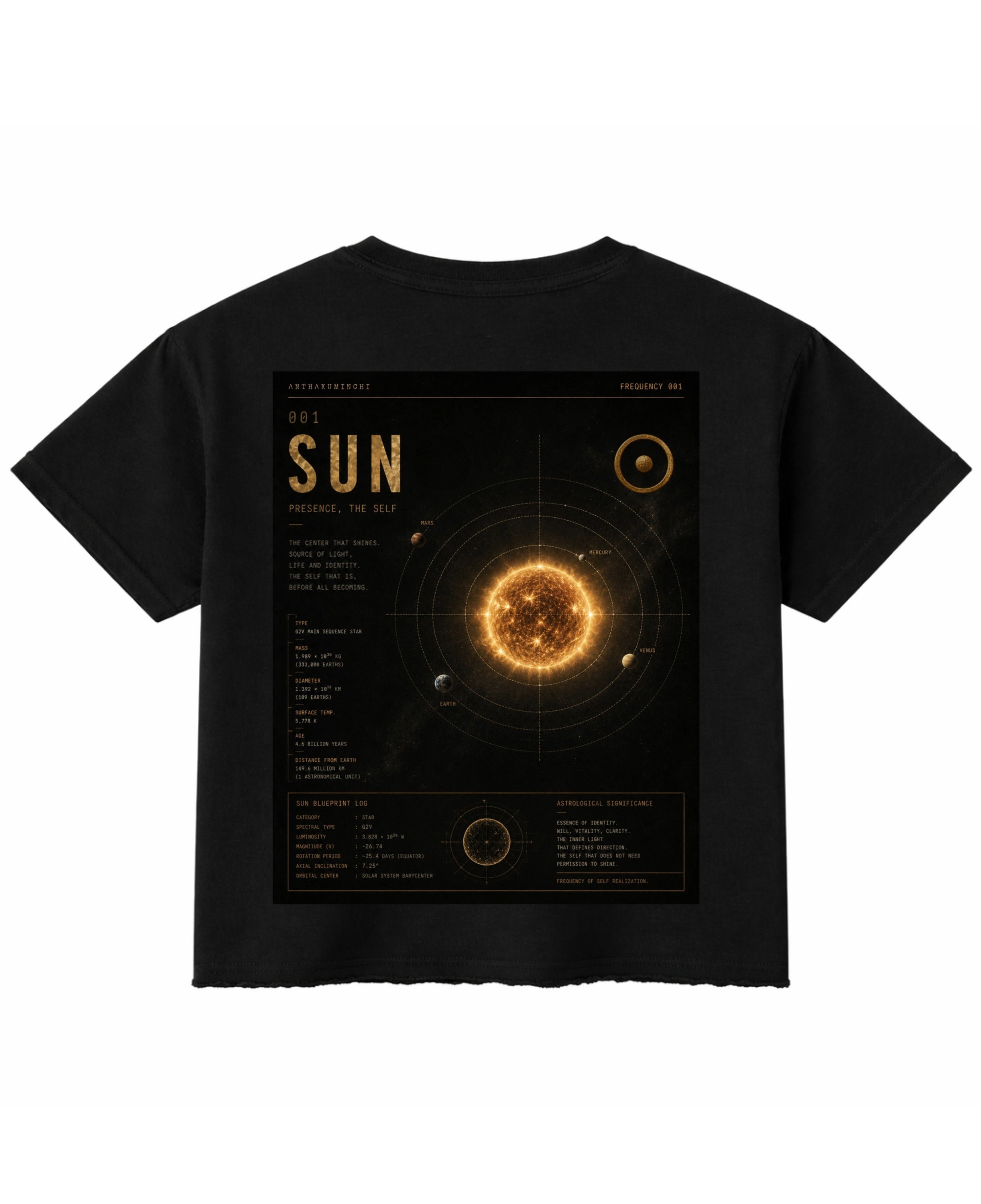 Black Boxy Fit T-shirt Back Design