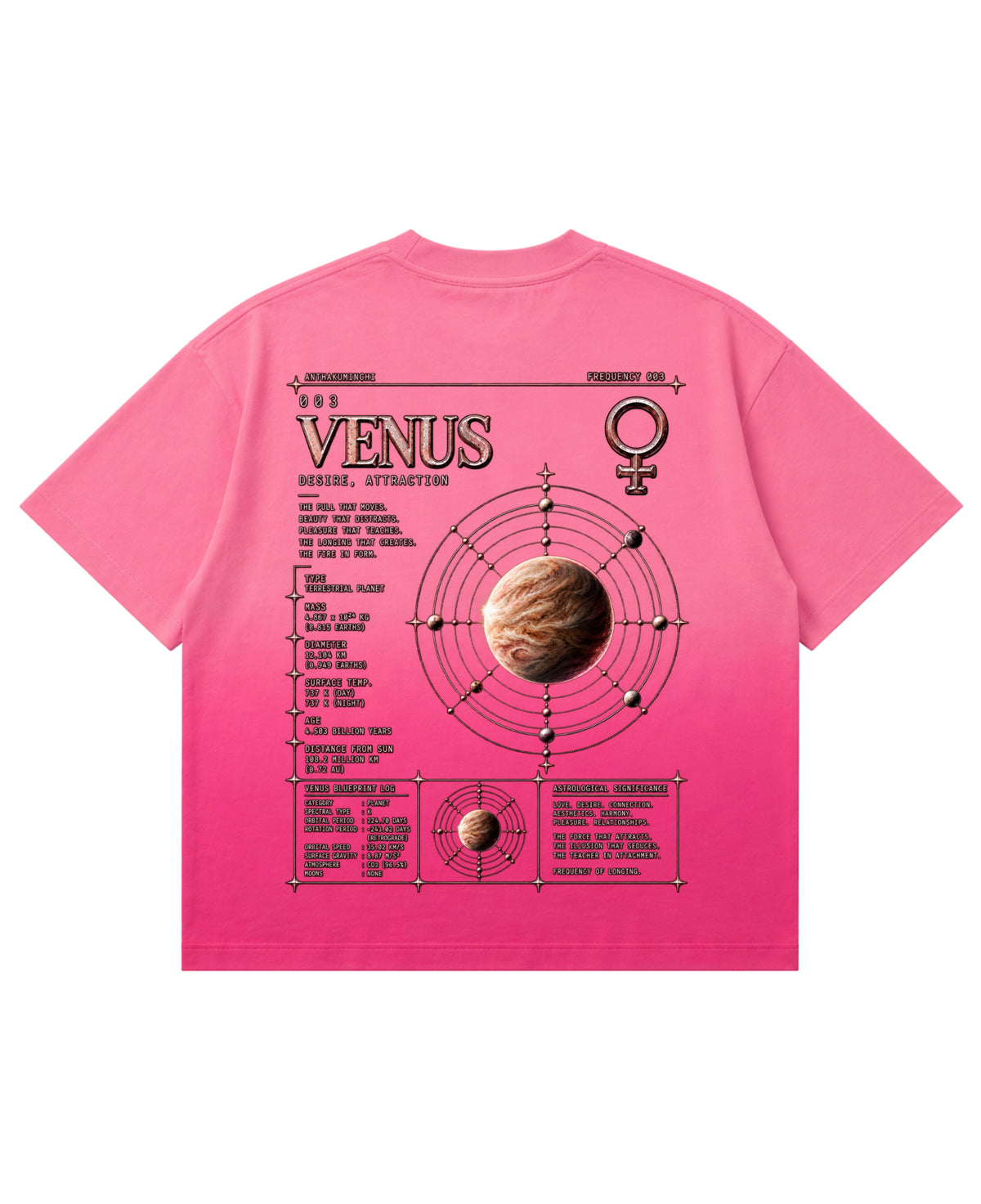 Pink Sunfade Ombré Wash Boxy Fit T-shirt Back Design