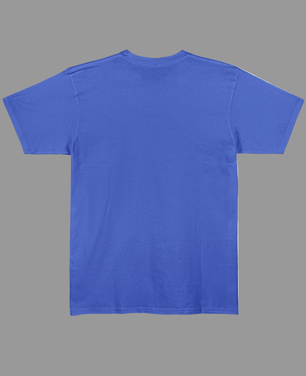 Blue Regular Fit T-shirt Back Design