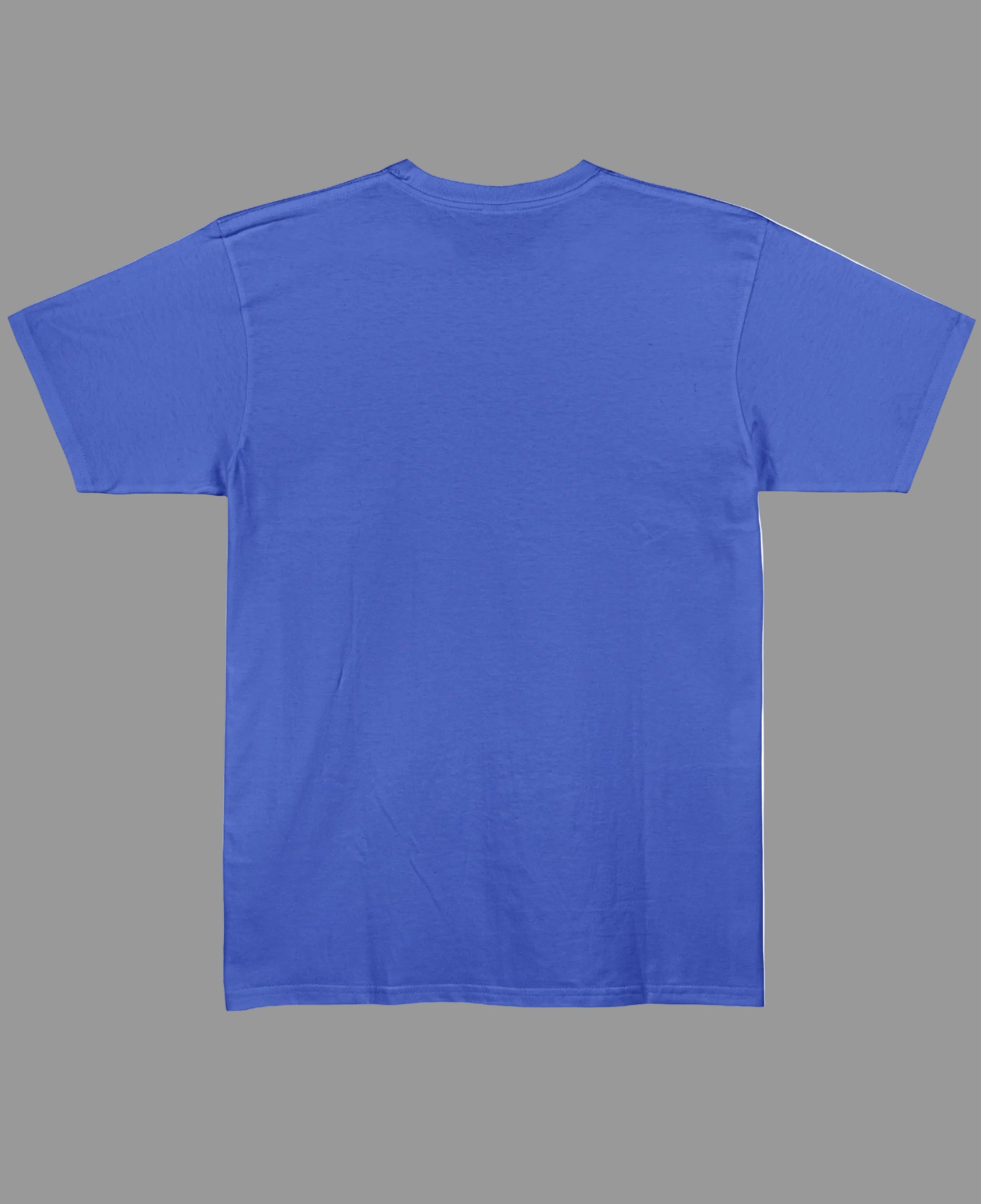 Blue Regular Fit T-shirt Back Design