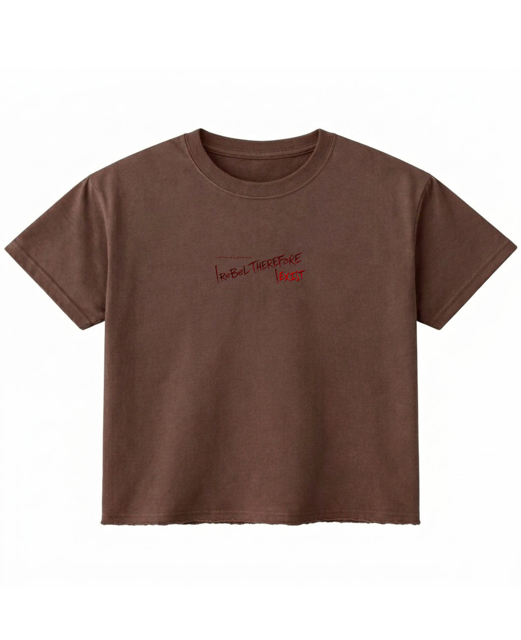 Brown Boxy Fit T-shirt Front Design